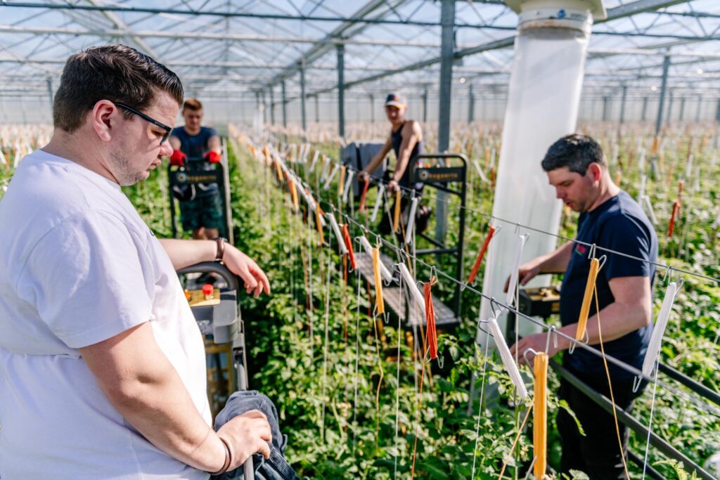 Veld Vision